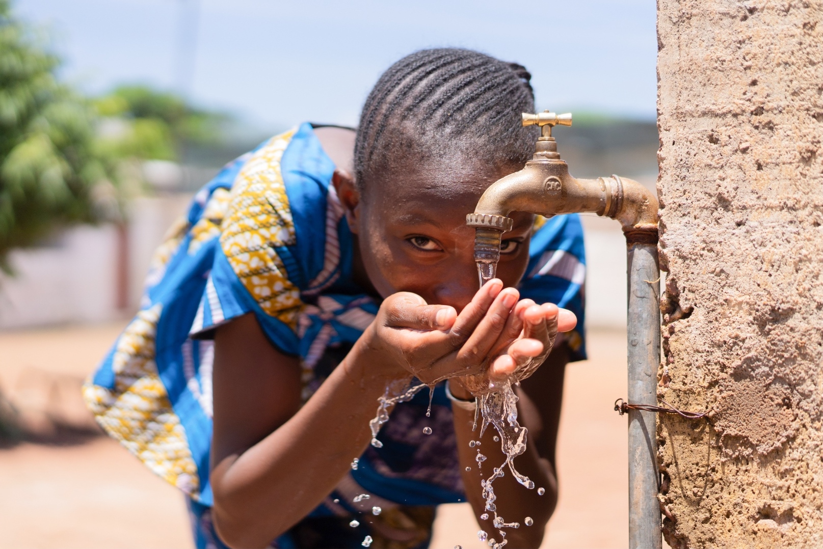 Understanding Cholera