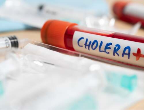 Understanding Cholera: Prevention, Symptoms, and Treatment